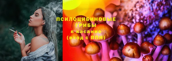 молекула духа Алексеевка