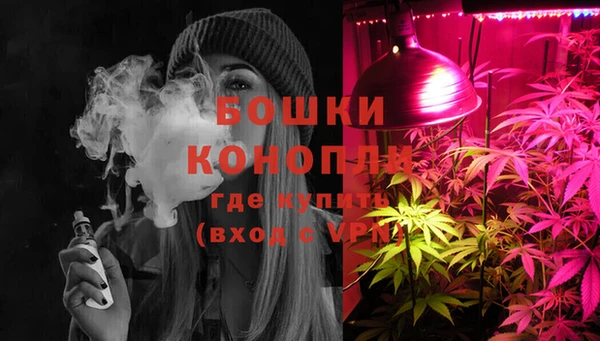молекула духа Алексеевка