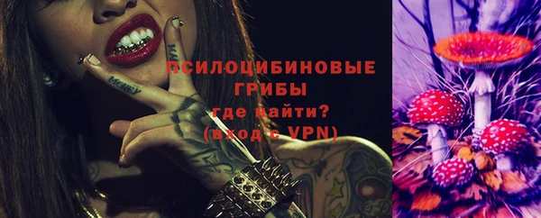 сатива Алексин