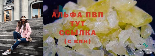 сатива Алексин