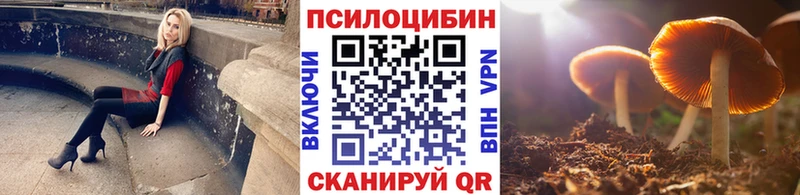 Псилоцибиновые грибы GOLDEN TEACHER  Балашиха 